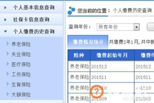 怎么查询社保缴费记录,怎么查看社保的缴费情况？