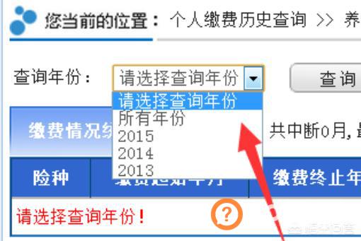 怎么查询社保缴费记录,怎么查看社保的缴费情况？