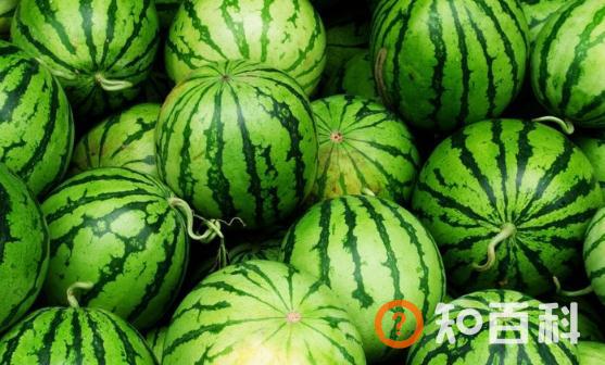 水果营养高但不是越多越好 8种水果不宜大量食用