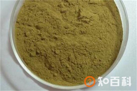 菊花粉的功效与作用及禁忌