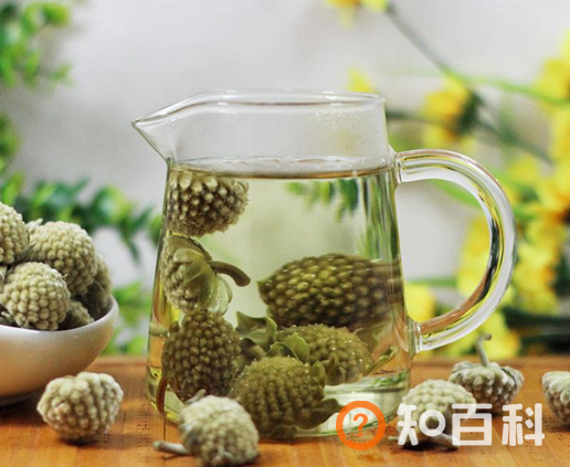 绿萝花茶的功效和作用