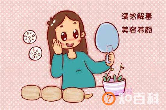 菊花粉的功效与作用及禁忌