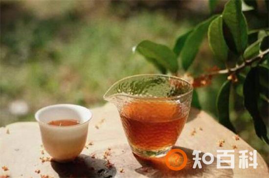 桂花茶的功效与作用