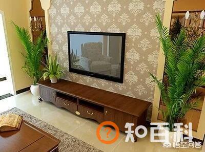 红掌的风水寓意,听说红掌有毒，能放在室内吗？