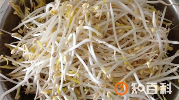 绿豆芽生长过程图片,绿豆芽怎么发芽最快又好？