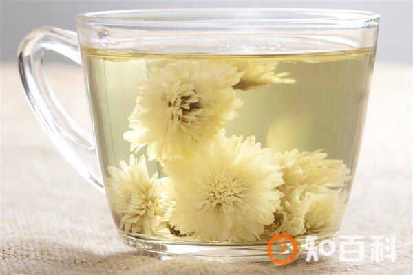每天一杯菊花茶可收获这8大好处，但要注意9个禁忌