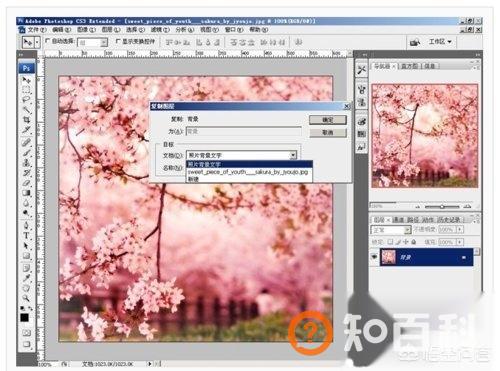 ps怎么做海报漂亮字体,PS怎么用蒙版制作漂亮的文字？