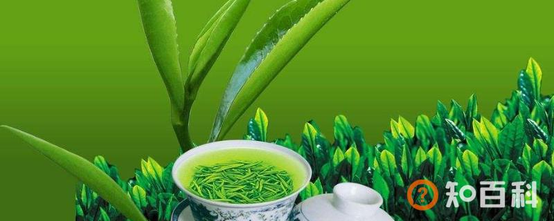 不喝的茶叶有什么用途