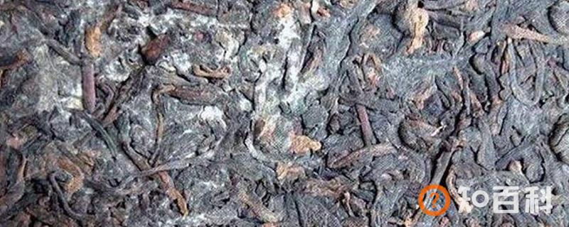 发霉的茶叶是什么样的