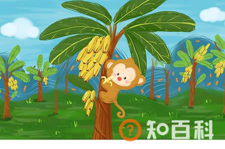 包皮过长的危害 包皮过长小心不育！