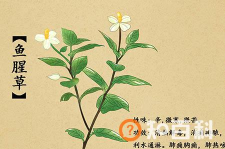 月经结束当天同房要不要吃避孕药 药物不可多吃
