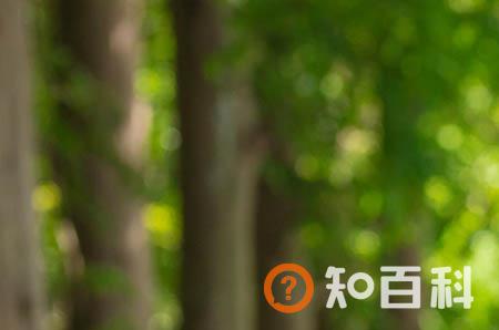 女人哪种声音让男人最兴奋