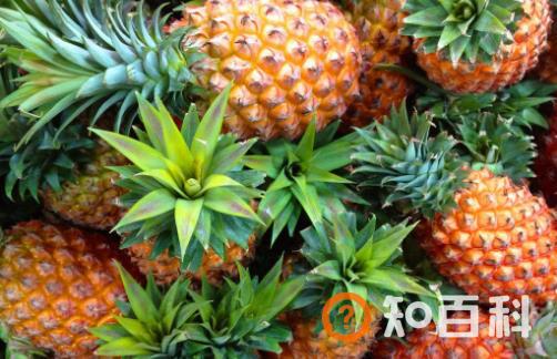 减肥者因错误减肥被送院 掌握正确的减肥方法很重要