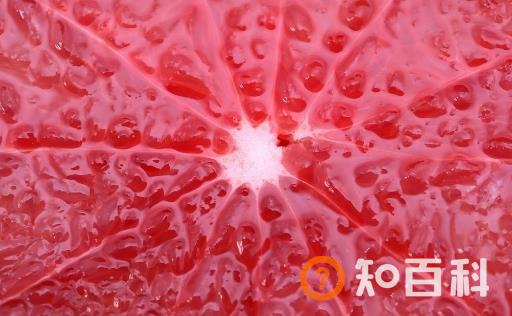 减肥者因错误减肥被送院 掌握正确的减肥方法很重要
