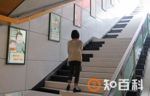 被忽略掉的生活中的小事 对减肥有很多影响