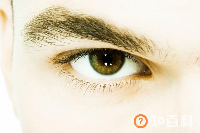 【图】小窍门去眼袋和黑眼圈 这些你了解吗