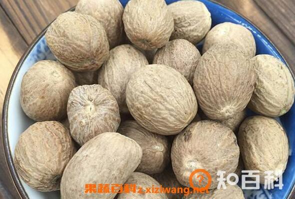肉蔻属于什么茶 肉蔻茶的冲泡方法