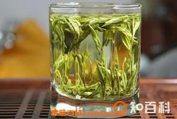 毛尖茶怎么泡 毛尖茶的特点