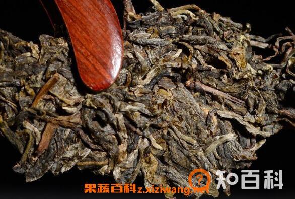古树茶如何保存 古树茶的保存方法