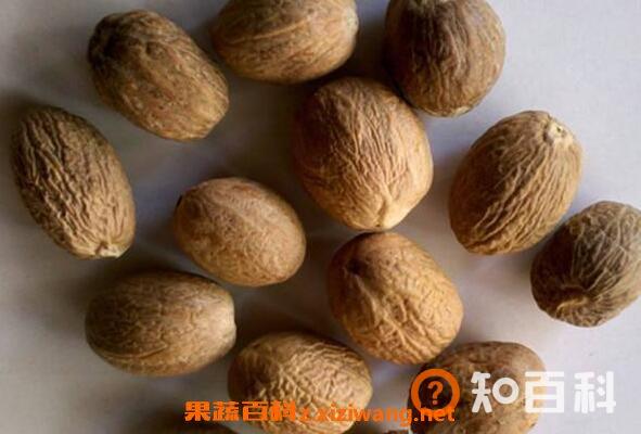 肉蔻属于什么茶 肉蔻茶的冲泡方法