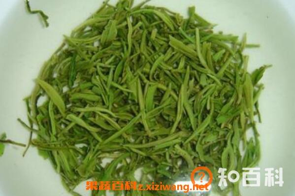 毛尖茶怎么泡 毛尖茶的特点