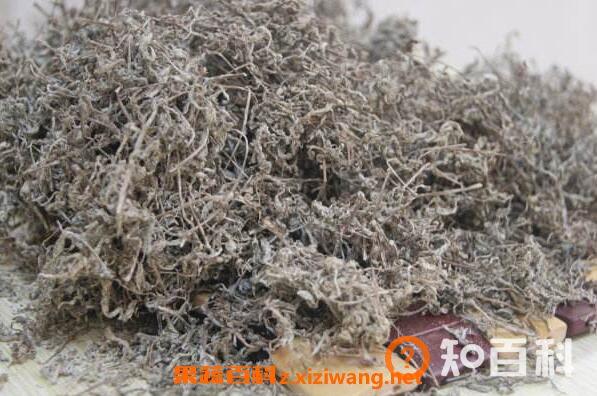 莓茶怎么泡 莓茶的特点