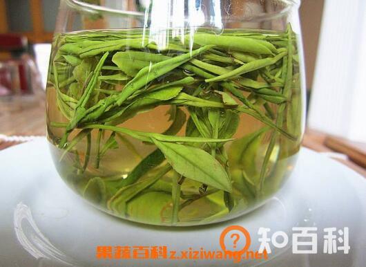 安吉白茶属于什么茶 安吉白茶怎么泡