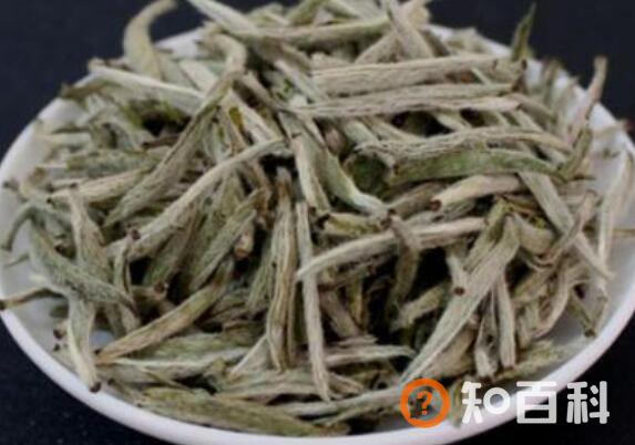 福鼎大白茶和小白茶的区别