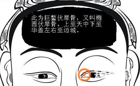 骨相图解：伏犀骨