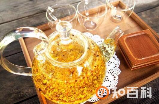 桂花茶的功效与作用 喝桂花茶的好处