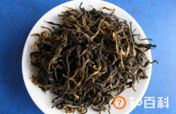 野生乔木茶的功效与作用