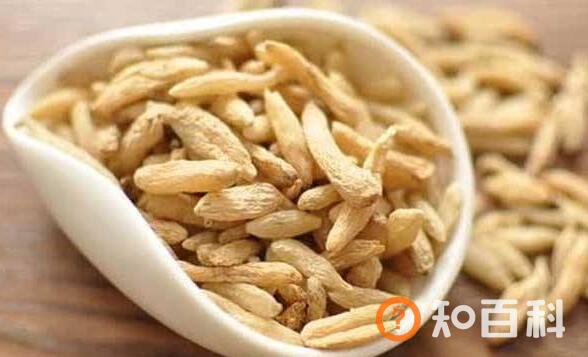 麦冬茶的功效与作用 麦冬泡水喝的五大禁忌