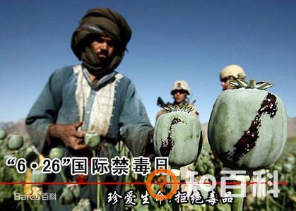 6月26日是什么节日？国际禁毒日是几月几日