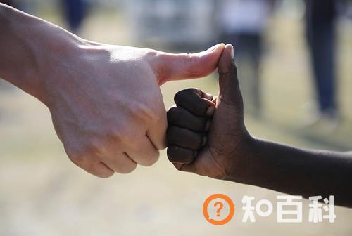 8月19日是什么节日？世界人道主义日是几月几日