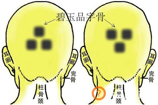 骨相图解：碧玉品字骨