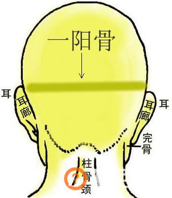 骨相图解：一阳骨