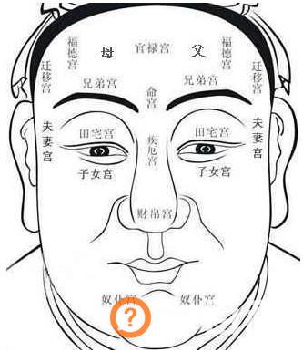 面相学中的十二宫的含义