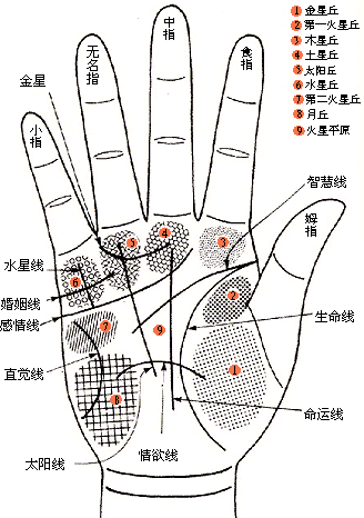 手相婚姻线图解：从手相婚姻线看姻缘