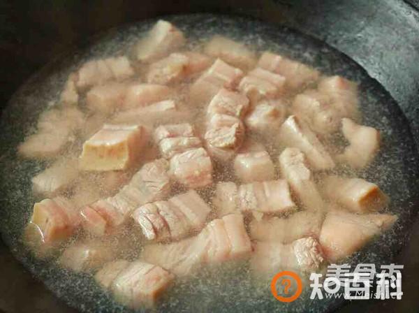 一点都不延安的毛氏红烧肉做法大全