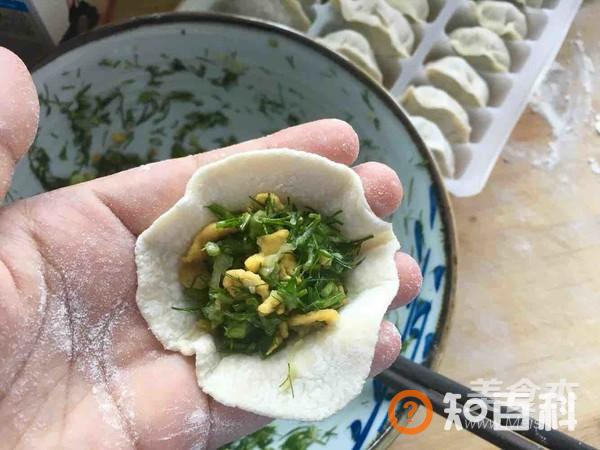 茴香鸡蛋饺子做法大全