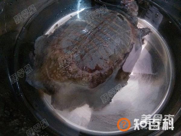 清炖甲鱼汤做法大全