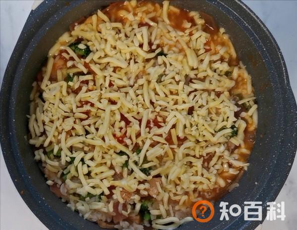 什锦鸡肉芝士焗饭做法大全