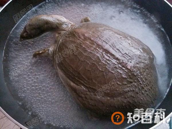 清炖甲鱼汤做法大全