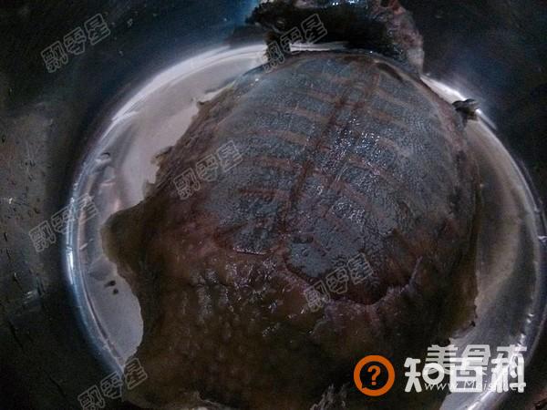 清炖甲鱼汤做法大全