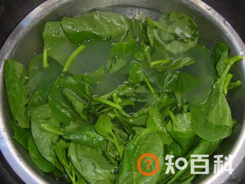 蒜泥木耳菜做法大全