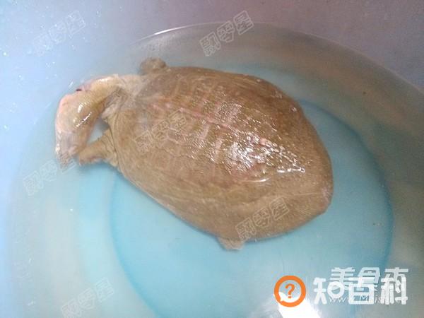 清炖甲鱼汤做法大全