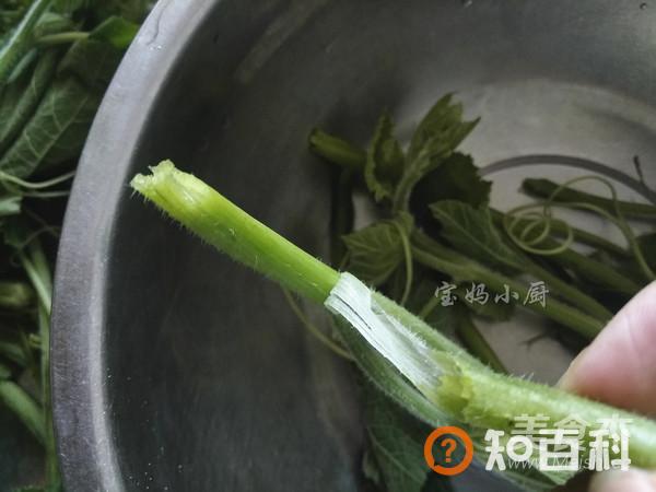 凉拌南瓜秧做法大全