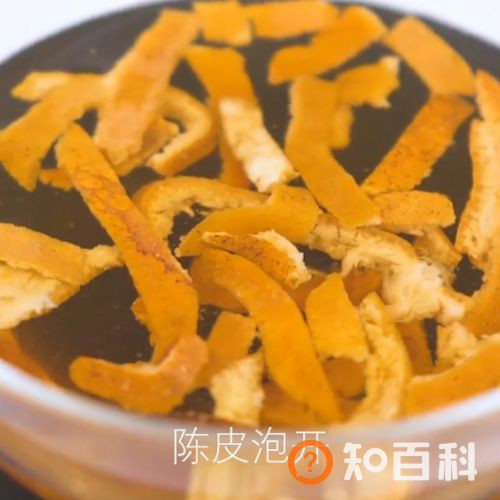 陈皮梨汤做法大全