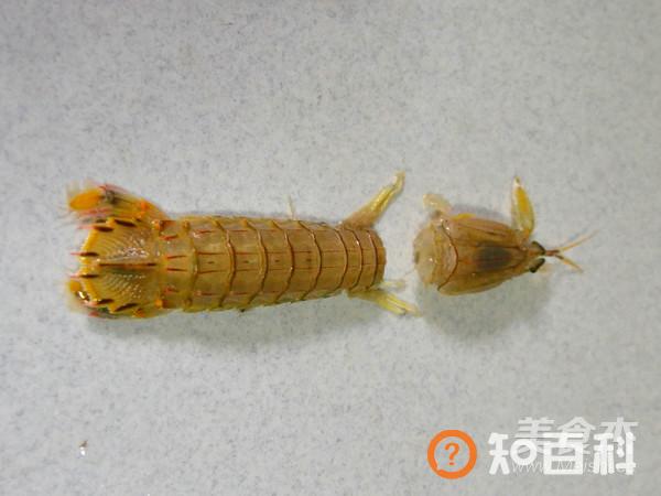皮皮虾的另一种吃法---多汁三鲜酥皮馅饼做法大全