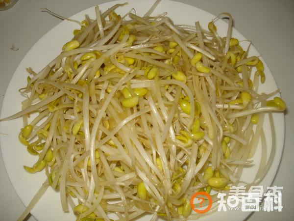 辣炒豆芽菜做法大全